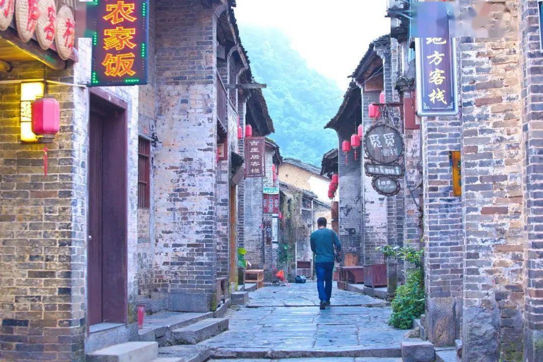 奥日与精灵意志
